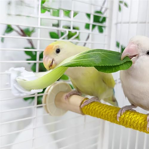 10 Pieces Millet Holder for Bird Cages, White Plastic Fruit, Vegetable, Snacks Food Feeder Clips Cuttlebone Holder for Small Bird Parrot Parakeet Budgie Cockatiel Conure Cockatoo Macaw Cage Accessorie - color: White