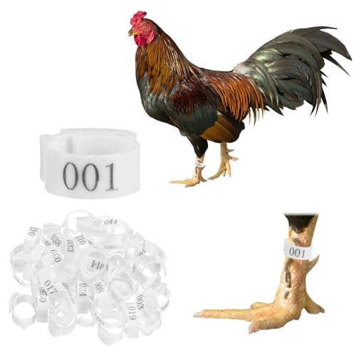 M METERXITY 50-Pack Adjustable Chickens Leg Bands, 17-22 mm Plastic Poultry Identification Chicken Leg Rings for Turkey/Duck/Goose/Chicks, Colorful Numbered Foot Clip on Tags [White] - color: White