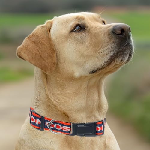 Pets First NFL Denver Broncos Licensed PET COLLAR, Small - Heavy-Duty, Strong, and Durable Dog Collar. Available in 31 Football Teams and 4 Sizes - color: Denver Broncos, size: Small