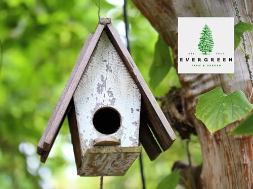 Evergreen Farm and Garden Birdseed Cylinders with Hole - Bird Seed for Outside Wild Birds (Small Cylinder, Tweet Treats 2pc) - size: 3.5 Pound (Pack of 1)