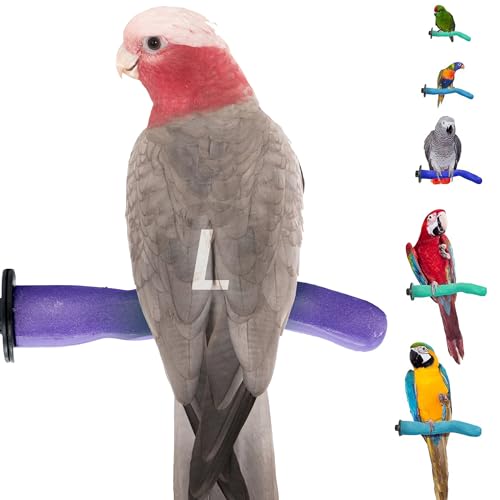 Sweet Feet and Beak Safety Pumice Bird Perch, Large Pedicure Perch, Purple | Plastic Bird Nail Trimming Perch, Pumice Coated Surface for Healthy Feet and Beak,12" Lightweight Perch, Available In 5 Sizes - color: Purple, size: Large 12"