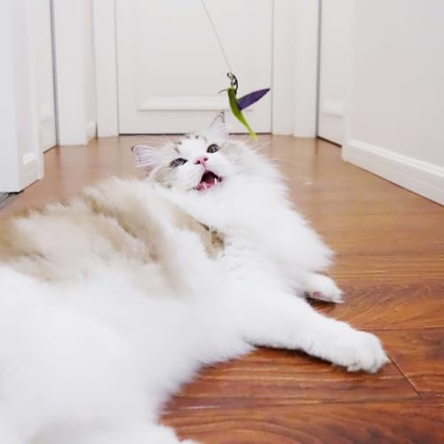 TTcat Cat Toy Hummingbird Refill Attachments with Bell & Feather, Replacement Bird Wand Toy Accessories for Interactive Cat Teaser Stick, Soft Furry Bird Kitten Chase Play Toys for Indoor Cats. - color: 3Pcs (Insects+Hummingbird)