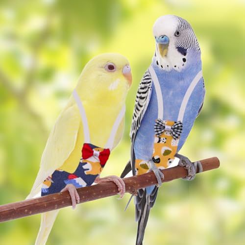 SUPERFINDINGS 3 Pack Bird Diaper Flight Suit Washable Parrot Nappy Reusable Nappy with Sponge Removable 2 Pads Cockatiel Clothes Cute Urine Wet Suit Costume for Parakeet Budgie Canary