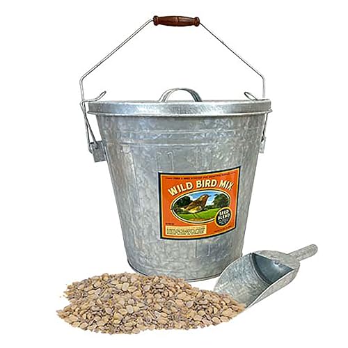 Woodlink Rustic Farmhouse Seed Container & 10 lbs. Waste Free Seed