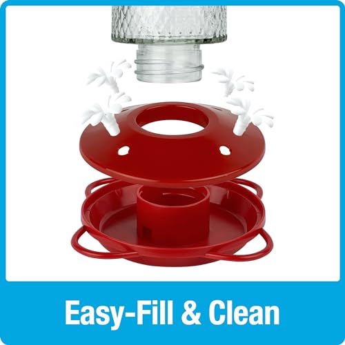 Nature's Way Hanging Glass Hummingbird Feeder for Outdoor Décor, 13 Ounce Capacity Nectar Feeder, Ant Moat, 4 Easy to Clean Flexible Ports, Red - style: 13 Ounce Capacity