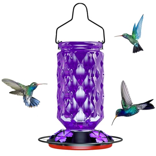 24OZ Glass Hummingbird Feeders for Outdoors Hanging,Five Feeding Ports with Perch, Leak Proof for Gardens Decor Backyard, Bird Feeder for Outside, Birthday Gifts for Women Men, Gifts for Mom Dad - color: Purple