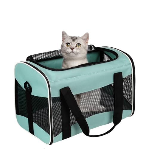 Cat Dog Carriers Soft-Sided Pet Carrier Large Cats for Medium Big Cat Small Dog Puppy up to 16lbs TSA Airline Approved Animal Collapsible Cat Carrier Carriers Travel Carrier Cat Bag (17x11x11) - color: green, size: 17.0"L x 11.0"W x 11.0"H