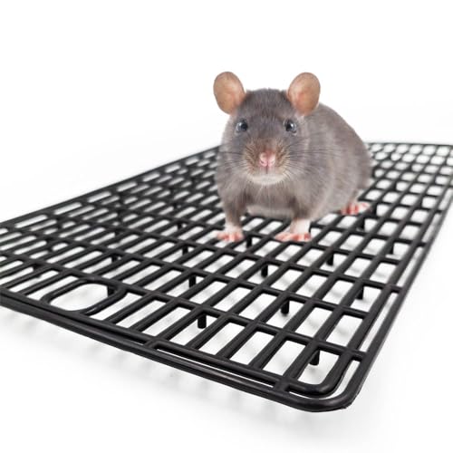 Plastic Mesh Tray for Dogs & Cats (2 Pack) – Anti-Leak Crate Floor Grid, Cage Liner for Travel Carriers, Breathable Hygienic Base, Cut-to-Size PP Plastic (Small Size 15.7x9.4 in) (2)