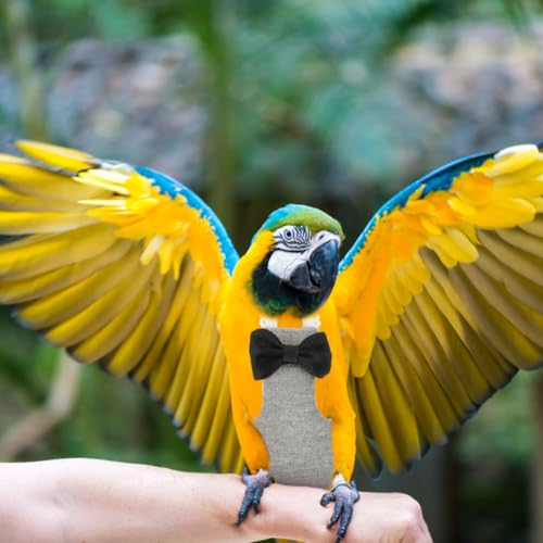 balacoo Washable Bird Diapers 4Pcs Reusable Lightweight Flight Suit Liners Breathable Skin-Friendly Bird Costume for Parrots Macaw Cockatoo Parakeet