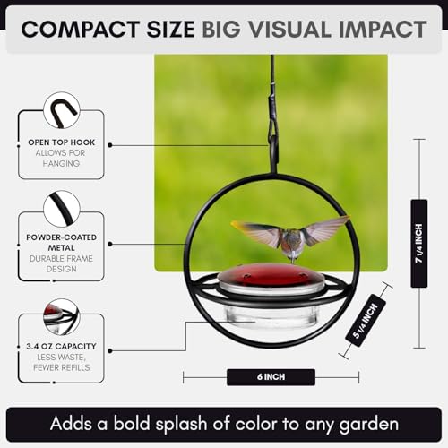 Hummingbird Feeder for Outdoors Hanging, 3.4 OZ Hummingbird Feeders, Glass Bowl with 4 Feeding Ports, Leak Proof Lid & Circular Perch, Bird Feeder (1, Black) - color: Black