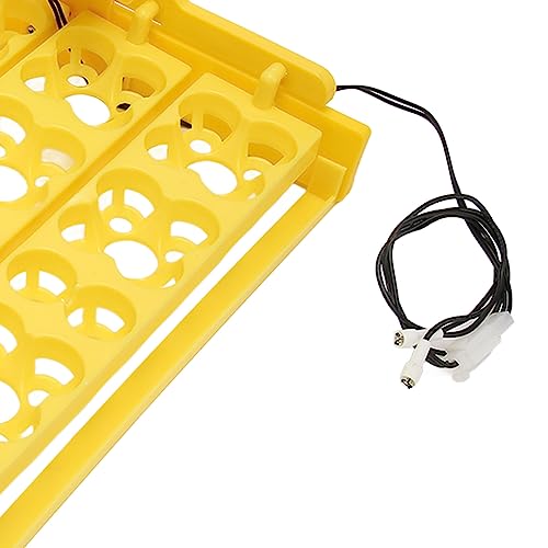 Automatic Egg Turner Tray - Multifunction Incubator Tray for 16 Duck Eggs, 72 Quail Eggs (AC110V) - size: AC110V