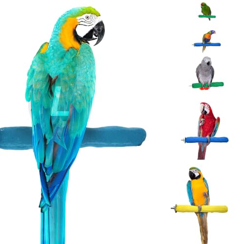 Sweet Feet and Beak Comfort Grip Safety Bird Perch, Large Pedicure Perch | Made from Bird-Safe Concrete Blend, Promotes Feet, Nails and Muscle Stimulation, 13" Perch, Available in 5 Sizes, Blue - color: Blue, size: Large 13"