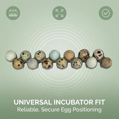 SplashNColor Quail Egg Tray Compatible with Maticoopx 20 Egg Incubator - Coturnix Quail Egg Rack - Compatible with Small Egg Incubators - Durable Egg Turner Accessory - 14 Slots - ABS White (1 Pack)