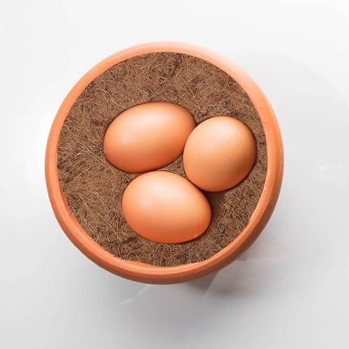 TEHAUX Coconut Fiber Bird Nest Mat 8.1 Inch Dehumidification Racing Pigeon Nest Pad Breathable Durable Bird Breeding Accessory for Egg Protection