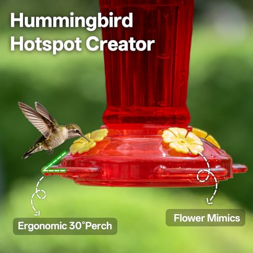 Red Plastic Hummingbird Feeders for Outdoors Hanging 2-Pack 14 Oz | Ant&Bee Proof Hummingbird Feeder with 4 Feeding Ports and Perches, Rustproof Leakproof Base, Garden Yard Décor Gifts for Mom - color: Red, size: 2 Pack