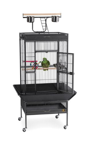 Prevue Pet Products 3152BLK Wrought Iron Select Bird Cage, Black Hammertone | Large Steel Cage with Rolling Stand, Seed Guards, and Playtop, Ideal for Conures and Medium Birds - color: Black Hammertone, size: 24.0"L x 20.0"W x 60.0"H