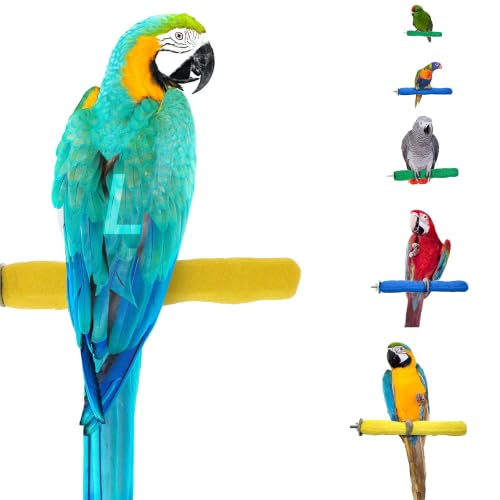 Sweet Feet and Beak Comfort Grip Safety Bird Perch, Large Pedicure Perch | Made from Bird-Safe Concrete Blend, Promotes Feet, Nails and Muscle Stimulation, 13" Perch, Available in 5 Sizes, Yellow - color: Yellow, size: Large 13"