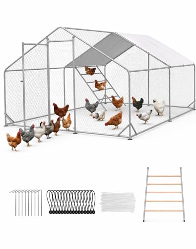 Walk-in Chicken Coop 10x10 ft, Metal Poultry Cage for 10-15 Chickens, Steel | 100 Sq.Ft, Waterproof & UV-Resistant Cover, Predator-Deterrent Mesh, for Ducks Rabbits, Heavy Duty Outdoor Use - size: 118.0"L x 118.1"W x 80.1"H