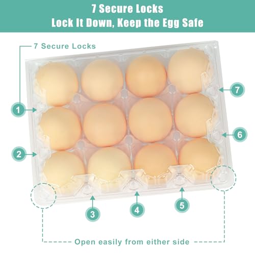 SINLUCESCE 100 Packs Egg Cartons Cheap Bulk, Plastic for 12 Eggs, Clear Egg Cartons 3 x 4 Grids, Perfect for Refrigerator Family Farm Commercial Business Market Display
