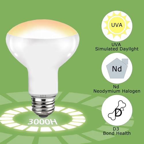60W Reptile Heat Lamp Bulb, UVA Daylight Basking Spot Light | Simulates Natural Sunlight, Daylight Bulb for Bearded Dragons, Lizards, Tortoises, Chicks & Amphibians, Ideal for Terrariums - color: Basking Spot Lamp, size: 60W Upgraded - 3.1"