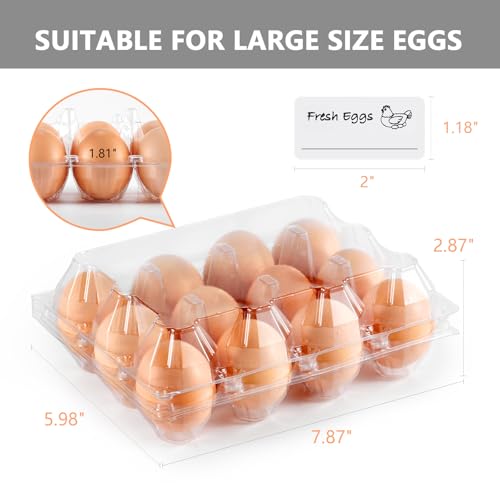 60PCS Plastic Egg Carton Reusable Egg Cartons Cheap Bulk for Large Eggs | 1 Dozen Blank Egg Tray Clear Egg Container Holder for Refrigerator Home Ranch Chicken Farm Commercial Market Display - size: 60Pack-3x4 Grids