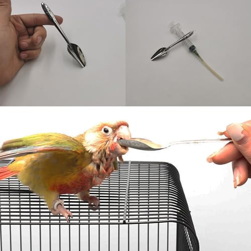 8 pcs Bird Feeding Syringe Set,Small Bird Pet Parrot Feeder Tubes | Measuring Cup,for Reusable,Milk Water,Liquid Food,Suitable for Parakeets,Cockatiels,Amazon Grey Parrots,Cockatoos,Macaws - color: #2