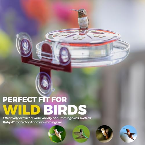 Kingsyard Window Hummingbird Feeder with 3 Extra Strong Suction Cups | Leak-Proof Design, Built-in Ant Moat & 5 Bee-Proof Ports, Circular Perch with 360° Feeding, 8 oz Nectar Capacity (2 Pack)