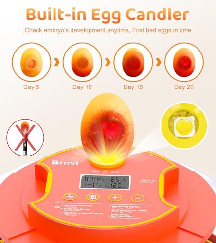 18 Egg Incubator with Automatic Egg Turning, Digital Temperature Humidity Control, Incubator for Hatching Eggs, 360° View Candler, Chicken, Quail, Duck, Goose, Turkey for Home & Farm