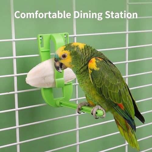 2 Pack Cuttlebone Holder for Bird Cage Green Bird Fruit Feeder Clip with Perch Stand. Millet Holder for Bird Cage Accessories for Parakeet Budgie Cockatiel (Vegetable Bracket)