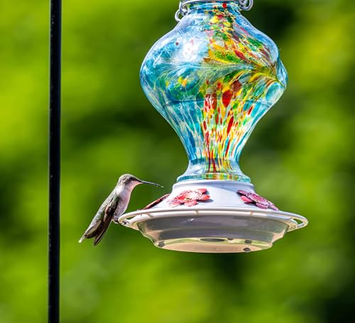 Glass Hummingbird Feeders for Outdoors Hanging with ant Moat, Blue | Hand Blown, 24oz, 5 Bee-Proof Ports, 360° Perch, Leak-Proof, Easy Refill & Clean, Garden Decor, Gifts for Mom Dad Women Men - color: Blue Phoenix