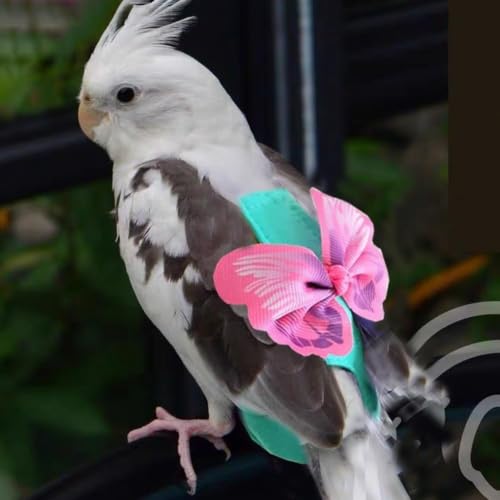 Parrot Diaper Harness with Leash Set for Small/Medium Bird (Size M) | Washable, Flight Suit, Outdoor Flying Training, Lovebird, Cockatiel, Conure, Quaker - size: M