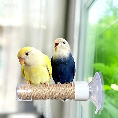 Window Perch for Birds Suction Cup Bird Perch of Car Travel for Cockatiel