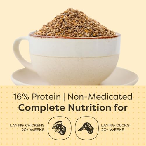 Scratch and Peck Feeds | Layer Mash for Chickens & Ducks | 10 lb Pouch | 16% Protein, Corn & Soy Free, Fermentable Whole Grains, Certified Organic & Non-GMO Project Verified, Complete Nutrition - size: 10 Pound (Pack of 1), style: Layer Feed