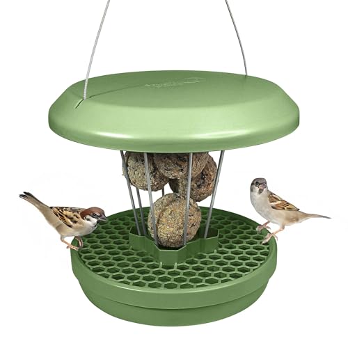 SWISSINNO Bird Feeders - No Mess Fat Ball/Suet Feeder for Outdoors Hanging - Smart Birds Lucerne Spill Proof Wild Cardinal Bird Feeder with Integrated Seed Catcher Tray - Sage - color: Sage, style: Lucerne