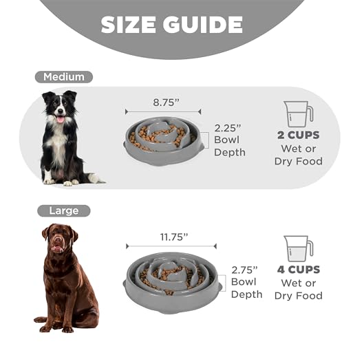 Outward Hound Fun Feeder Slo Bowl – Medium 2‑Cup Capacity, Slow Feeding, Small to Medium Dogs & Cats, Non-Slip, Gray, Drop Pattern - color: Gray, size: Medium