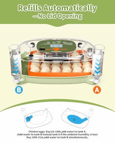 24 Egg Incubator with Automatic Turner Poultry Hatcher | Digital Temp Humidity Monitor, Low Humidity Alarm, External Water Bottles, Built-in Egg Candler for Chicken, Duck&Quail Eggs - color: Green