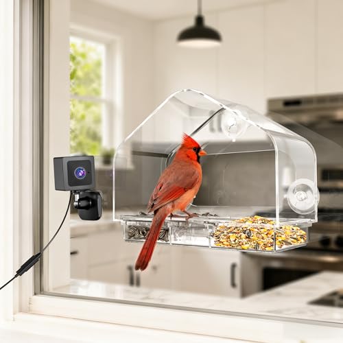 Window Bird Feeder with Strong Suction Cups & Smart Waterproof Bird Camera | 2K Clear Vision, AI Bird Recognition Tech, Real-Time Alerts, Easy to Use, Detachable Tray, 2.4G, USB Powered, for Home - color: Black