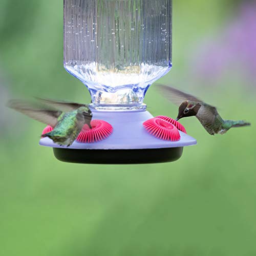 Perky-Pet 9101-2 Lavender Field Top-Fill Glass Hummingbird Feeder Purple 16 oz Capacity - color: Purple