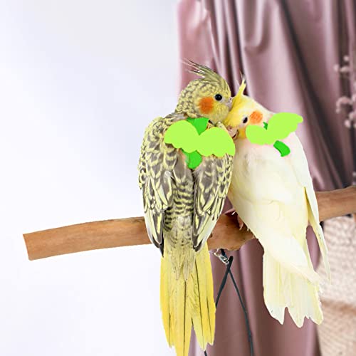 Dnoifne Pet Parrot Bird Harness and Leash, Adjustable Training Design Anti-Bite, Bird Nylon Rope with Cute Wing for Parrots, Suitable for Scarlet, Keck, Mini Macaw and Same Size Birds (Green) - color: green