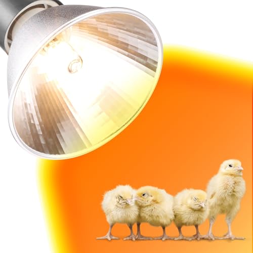 3 Pack Replacement G9 Basking Spot Heat Lamp for Chickens, Tiny Clear Bulbs Beads (75 Watt)