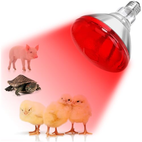 DaToo Infrared Heat Lamp Bulb for Chickens Red Heat Lamp Flood Light Heat Lamp Bulb 150 W Heating Bulbs for Brooder Coops Pets Chicks Reptiles Food Service (1 Pack) - size: 1 Pack