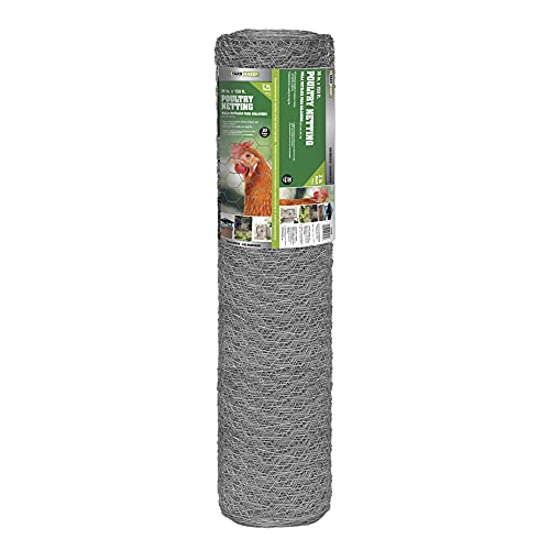 YARDGARD 2 Inch Poultry Netting, Chicken Wire Fence, 20 Gauge Galvanized Steel, Rabbit Fencing, Bird Enclosures, Garden Protection and Plant Support, 36 Inches x 150 Feet - size: 36 Inches x 150 Feet