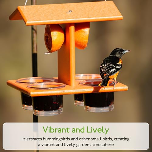 Sewroro Glass Bird Feeder Cup for Outdoors Hanging Window Bird Feeder Accessory Part for Balcony and Garden