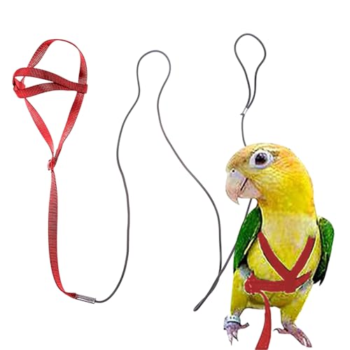 Adjustable Bird Leash and Harness,Anti-Escape Nylon Parrot Harness Red M | Flying Training Rope Parrot Leash For Small Medium Large Breed Parrots Fits Chest Under 20'' - color: Purple, size: M