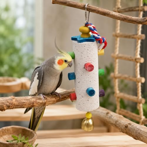 Hanging Bird Chew Toy for Small & Medium Birds, Textured Chewing Stone with Colorful Wooden Pegs, Cotton Rope & Bell, Bird Cage Accessories for Parakeets and Cockatiels