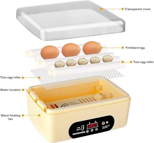 GROZY 6 Eggs Egg Incubator, USB Powered Automatic Hatching Machine with Digital Temperature Control & LED Display, Mini Poultry Hatcher for Chicken, Duck, Quail, Pigeon Eggs