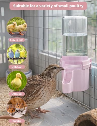 Quail Chick Waterer with Anti-Drowning Shallow Tray, 16.6 fl oz Automatic Gravity Button Quail Waterer, Hanging or Free-Standing Bird Water Dispenser for Wire Mesh Cages and Brooders (Pink) - color: Pink