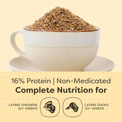 Scratch and Peck Feeds | Layer Mash for Chickens & Ducks | 50 lb Bag | 16% Protein, Corn & Soy Free, Fermentable Whole Grains, Certified Organic & Non-GMO Project Verified, Complete Nutrition - size: 50 Pound (Pack of 1), style: Layer Feed