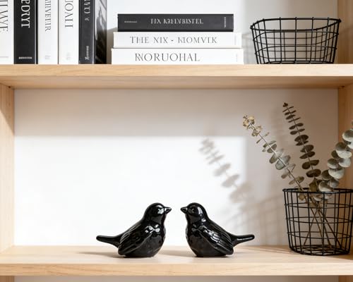 Set of 2 Ceramic Black Bird Figurines, 3.75 Inch Modern Bird Statues Home Decor, Cute Small Knick Knacks for Shelf, Office, Living Room, Bathroom, Kitchen, Housewarming Gift - color: Black
