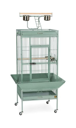 Prevue Hendryx Pet Products Wrought Iron Select Bird Cage 3152SAGE Sage Green, 24-Inch by 20-Inch by 60-Inch | Large Steel Cage with Rolling Stand, and Playtop, Durable Design, Ideal for Conures and Medium Birds - color: Sage Green, size: 24.0"L x 20.0"W